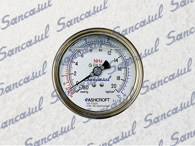 PRESSURE GAUGE 20KG- 4" NH3